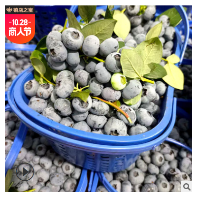 云南蓝莓新鲜当季水果蓝莓鲜果蓝莓水果批发蓝莓空运一件代发
