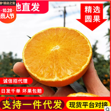 四川爱媛38号果冻橙 5/8斤新鲜当季水果非赣南脐橙橙子批发代发