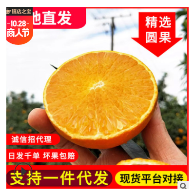 四川爱媛38号果冻橙 5/8斤新鲜当季水果非赣南脐橙橙子批发代发