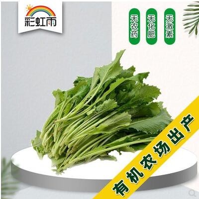 彩虹雨 生态蔬菜 新鲜雪里蕻腌制酸菜泡菜 250