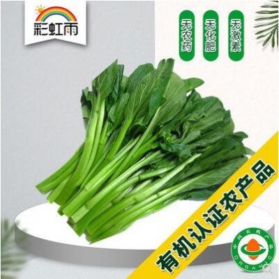 新鲜有机蔬菜 菜心菜苔250g 彩虹雨北京农场配送