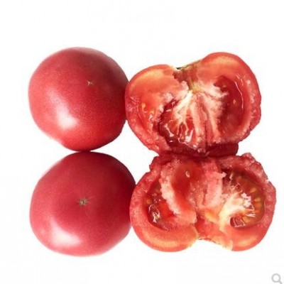 绿源禾心 有机西红柿 蜜蜂授粉 自然熟 约5斤