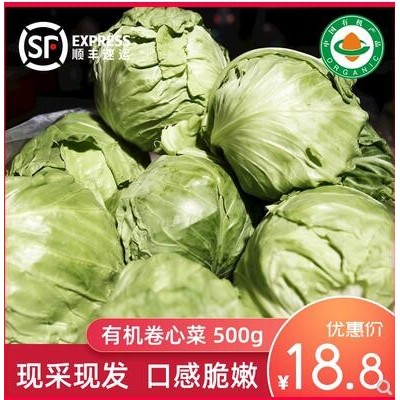 绿源禾心 有机甘蓝菜 包菜 卷心菜 大头菜新鲜蔬菜 约500g