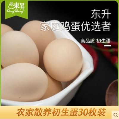 东升农场 初生蛋正宗土鸡蛋新鲜散养高营养宝宝蛋月子蛋20枚装