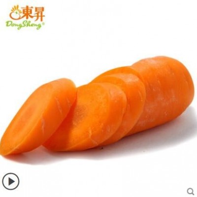 东升农场 新鲜红萝卜胡萝卜甜脆红皮红心 煲汤榨汁养生食材500g