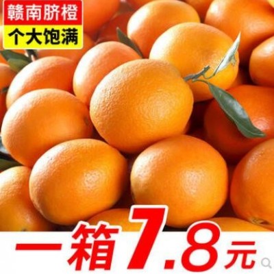 江西赣南脐橙子新鲜10斤大果当季水果5斤