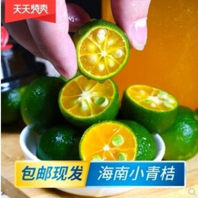 5斤正宗海南青金桔小当季水果新鲜柠檬自制饮品酸甜橘子