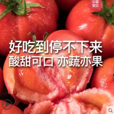 新疆沙瓤西红柿新鲜自然熟生吃普罗旺斯水果番茄农家蔬菜大粉柿子