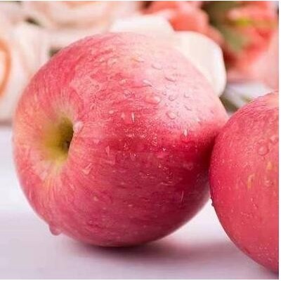 山东烟台红富士苹果应季孕妇水果当季新鲜整箱3斤5斤10
