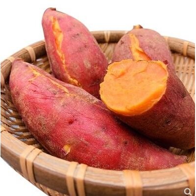 山东糖心红薯新鲜10斤超甜番薯沙地蜜薯板栗山芋香薯烤地瓜