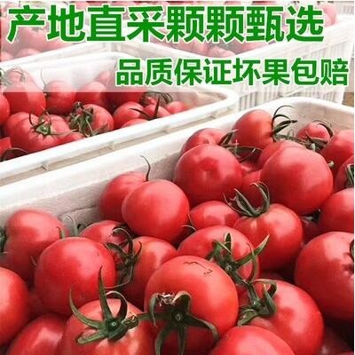 普罗旺斯西红柿新鲜蔬菜5斤包邮当季整箱自然熟10沙瓤水果 大番茄