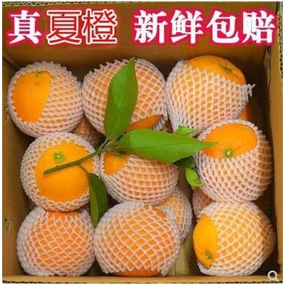 宜昌秭归脐橙新鲜水果助农姊归橙子10斤甜橙子现摘正宗