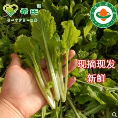 小白菜青菜希氏有机蔬菜250g新鲜辽宁沈阳基地直发叶菜同城