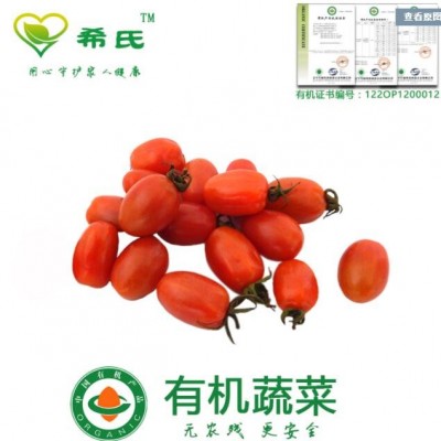 红色圣女果有机蔬菜400g新鲜小柿子红樱桃番茄辽宁沈阳同城