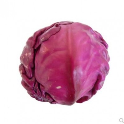 紫甘蓝450g有机蔬菜紫红椰菜紫包菜现摘新鲜西餐沙拉辽宁沈阳同城