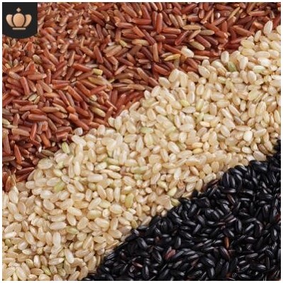 糙米三色米新米农家五谷杂粮红慥米黑米红米糙米粗粮1斤