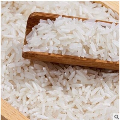 新米皖南大米 长粒香真空包装5斤猫芽米产地直批