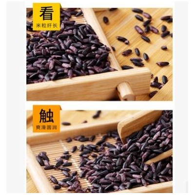 紫糯米大米黑米血糯米真空1斤装新米五谷杂粮饭团