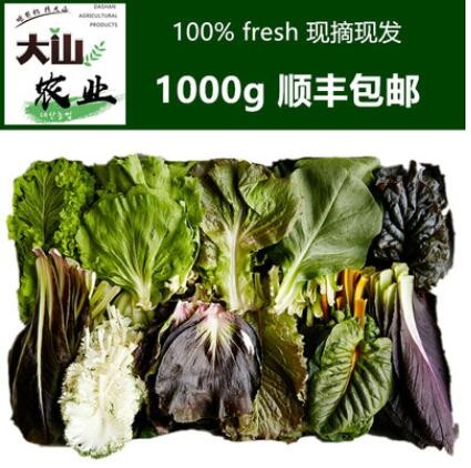 有机转换期蔬菜2斤 韩国包饭菜叶 烤肉食材 保健生菜顺丰包邮组合