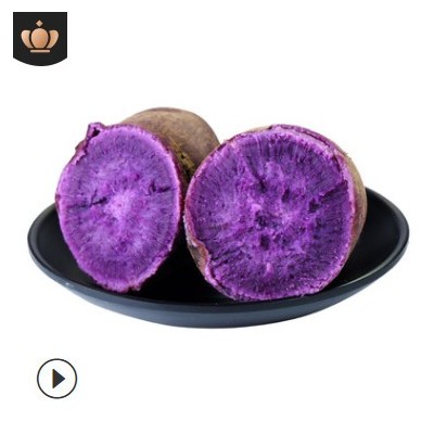现挖沙地紫薯 新鲜当季蔬菜粗粮香甜软糯 紫罗兰紫薯紫心番薯包邮