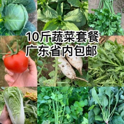 农家自种新鲜蔬菜时令瓜果番茄生菜辣椒青菜南瓜粗粮蒜苗10斤混搭