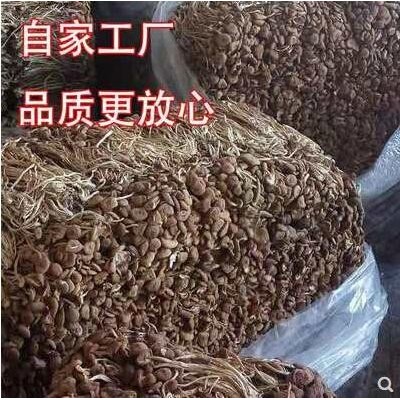 茶树菇干货古田不开伞未开伞煲汤食材菌菇类新货包邮500g一斤