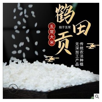 厂家批发 新米五常大米稻花香2号5kg东北一鹤田贡米 真空新米大米
