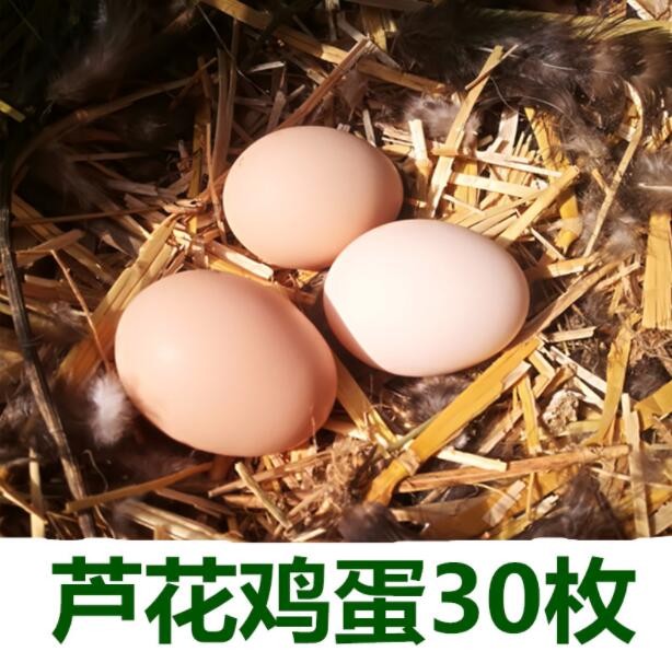 鸡蛋土鸡蛋农家散养芦花鸡蛋天然笨鸡蛋包装礼盒