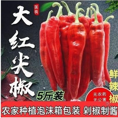 新鲜辣椒红尖椒5斤新鲜蔬菜现摘新鲜大红辣椒剁椒辣椒红椒