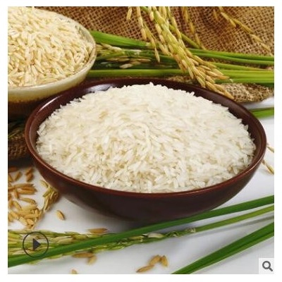 厂家批发长粒香米新米 农家生态大米真空袋 双亚有机大米5kg礼盒