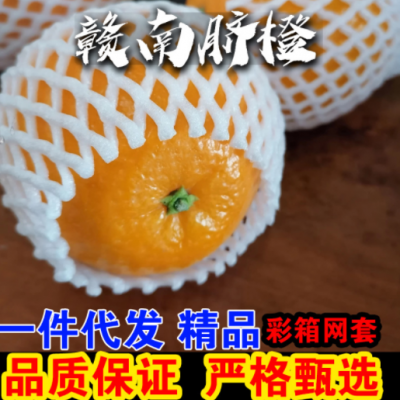 定制加工 江西赣南脐橙20斤一件代发批发 新鲜水果当季甜橙子赣州