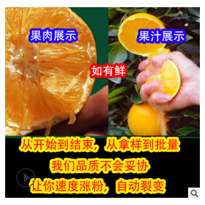 江西赣南脐橙一件代发批发 新鲜水果当季橙子赣州寻乌10斤5斤