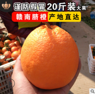 江西赣南脐橙一件代发 新鲜水果甜橙子 赣州寻乌脐橙大果特产20斤