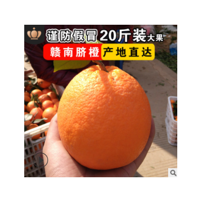 江西赣南脐橙一件代发 新鲜水果甜橙子 赣州寻乌脐橙大果特产20斤