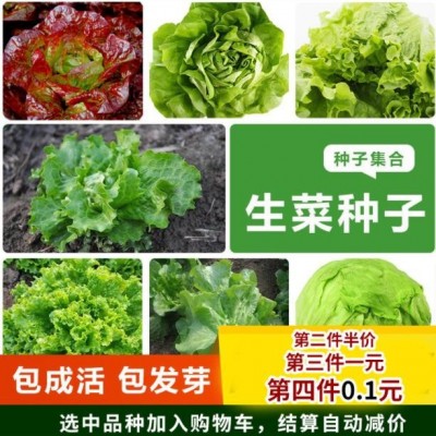 叶菜种子大全速生高产耐寒耐热春夏四季种蔬菜萝卜香菜菠菜籽