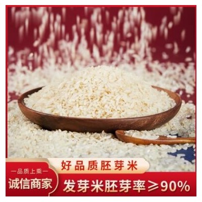 厂家供应 黑龙江胚芽米 稻花香胚芽米 胚芽米 东北五常大米批发