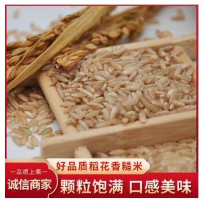 厂家供应 五常大米糙米稻花香米2号糙米 黑龙江东北大米批发供应