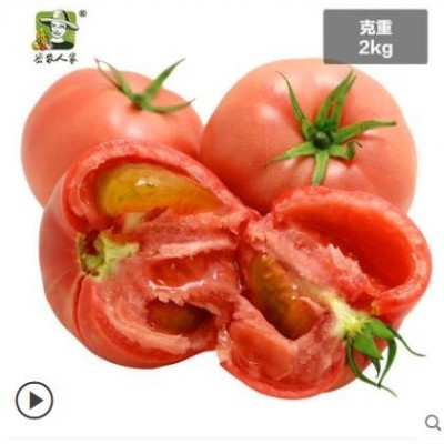密农人家 新鲜西红柿农家流沙番茄沙瓤可生吃西红柿新鲜自然熟4斤