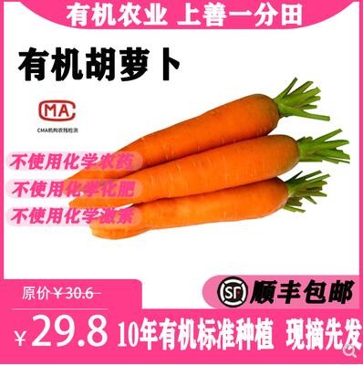 一分田 有机胡萝卜 新鲜胡萝卜 非转基因配送 【顺丰速运】500g