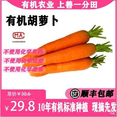 一分田 有机胡萝卜 新鲜胡萝卜 非转基因配送 【顺丰速运】500g