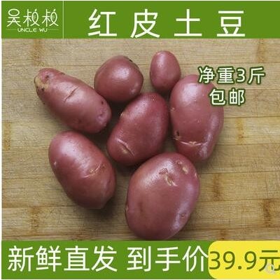 崇明红皮土豆洋山芋3斤