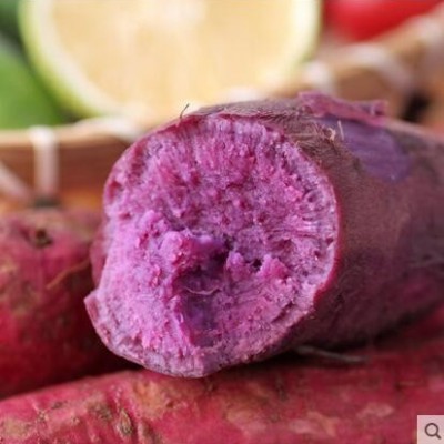 新鲜紫薯板栗红薯地瓜番薯蜜薯山芋10山东沙地小香薯红薯5斤