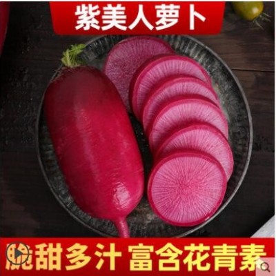 紫美人水果萝卜甜脆型潍坊潍县沙窝紫皮红心凤梨萝卜新鲜9斤