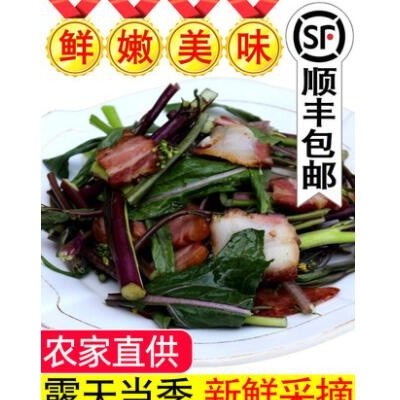 农家自种红菜苔新鲜青菜湖北武汉洪山紫菜薹当季蔬菜