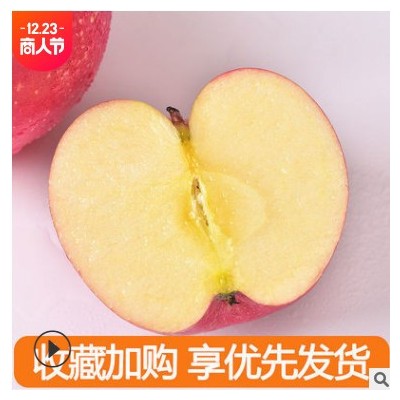 当季新鲜水果批发代发山东烟台栖霞红富士苹果1.5kg黄心条纹大果