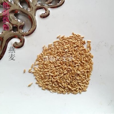 供应低温烘培熟燕麦 熟五谷杂粮现磨豆浆用料散装熟燕麦