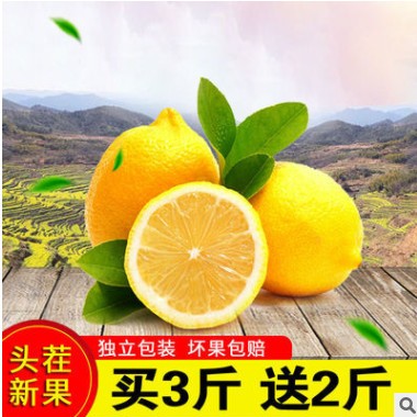【产地直发】安岳黄柠檬新鲜水果生鲜酸爽柠檬果子泡水多规格批发