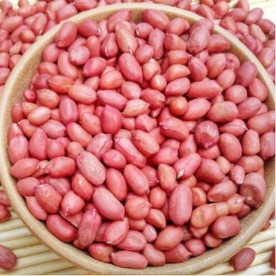 厂家低温烘焙熟红花生 五谷杂粮磨粉原料 现磨豆浆
