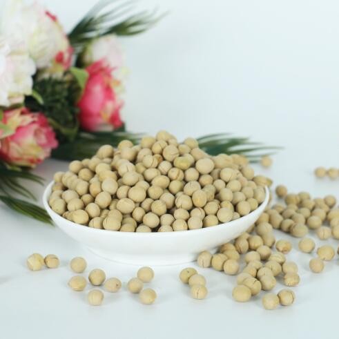 烘焙杂粮豆浆熟豆 支持OEM厂家良品质东北黄豆现磨谷浆原料