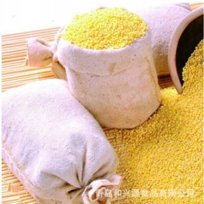胶州马店小米2.5kg地方特产小黄米月子米批发五谷杂粮宝宝小米